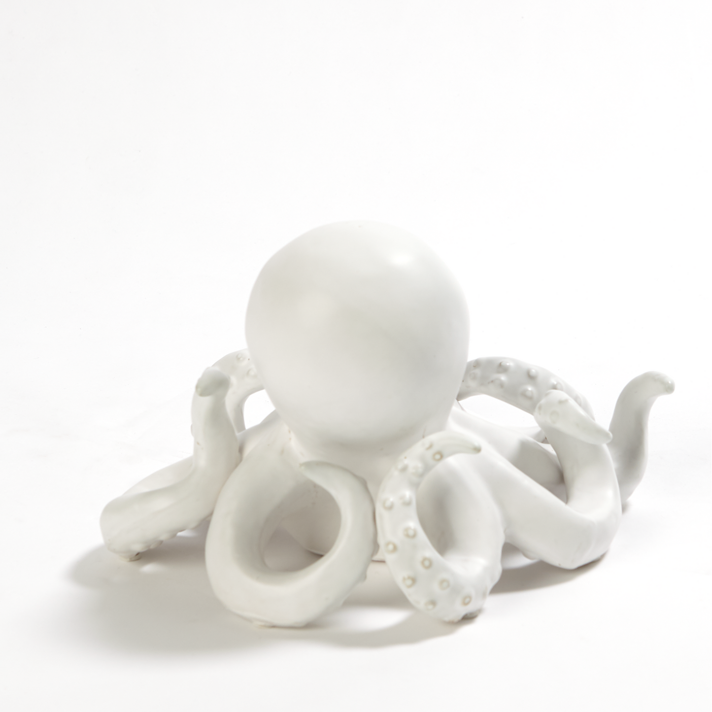 Octopus-White