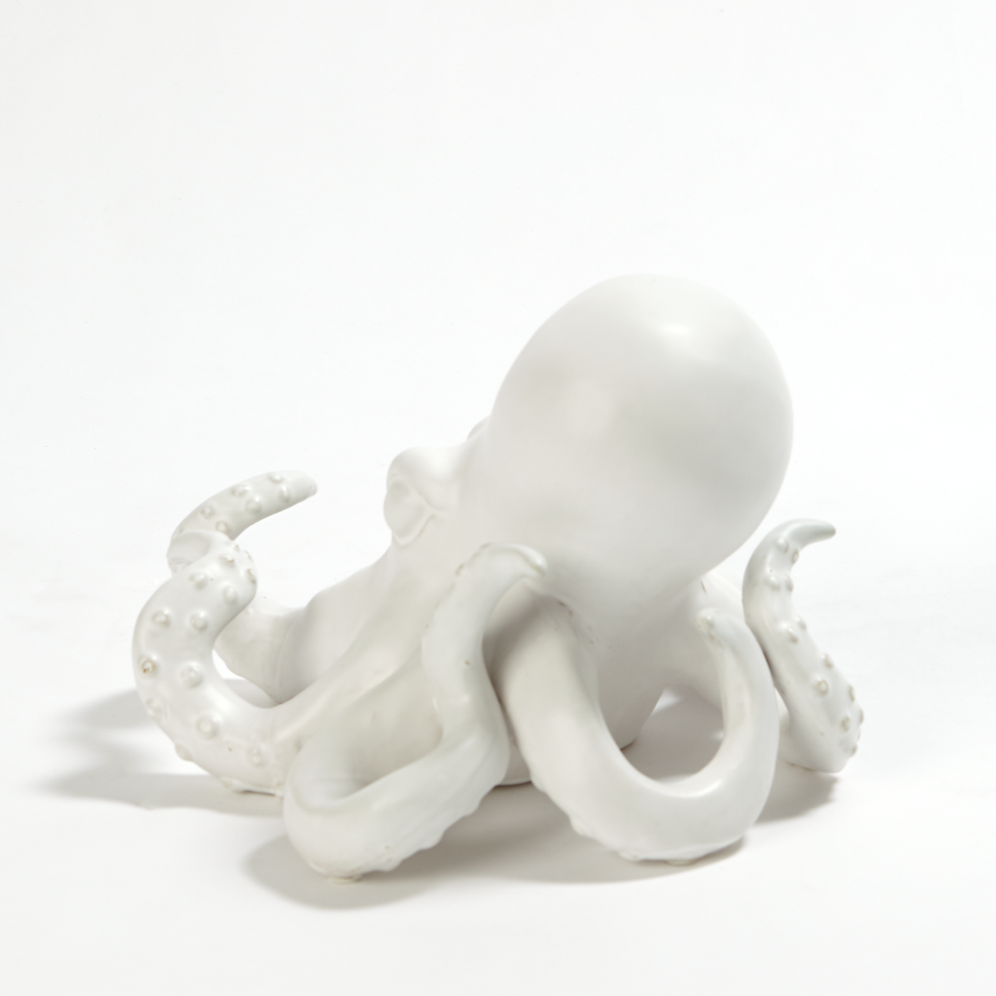 Octopus-White