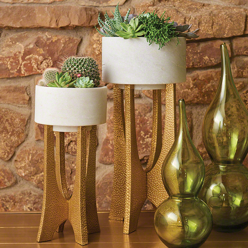 LAX Bowl Tall and Short