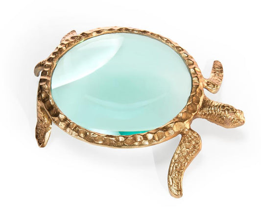 Turtle Magnifying Glass