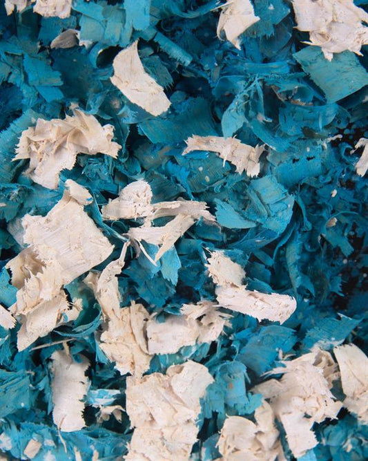 Ruanwei's Blue Composition