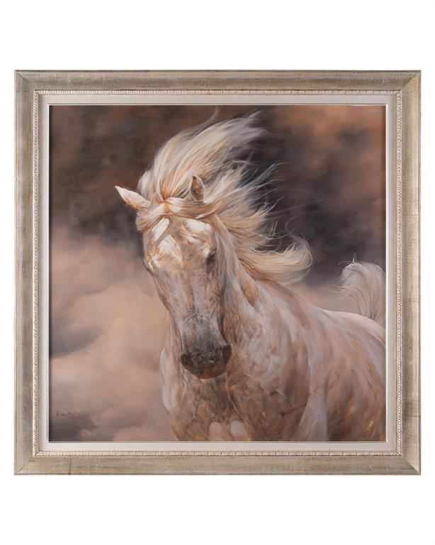 Wingka's Stallion