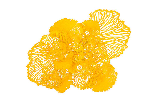 Flower Wall Art Dandelion