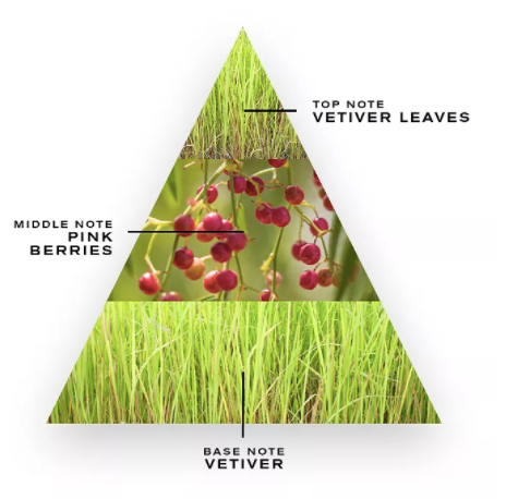 Creed: Original Vetiver